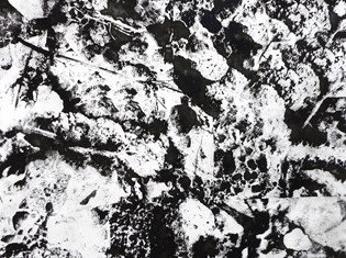 Refleksije matrice.jpg